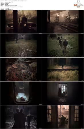 Stalker 1979 1080p BDRip DTS H264-PoPCoRn
