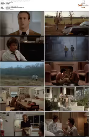 The Big Chill 1983 1080p BDRip DTS H264-PoPCoRn