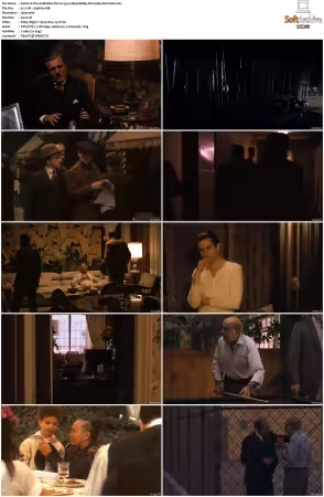 The Godfather Part II 1974 1080p BDRip DTS H264-PoPCoRn