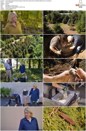 Martha Gardens S01 1080p ROKU WEB-DL AAC2.0 H264-V3RT