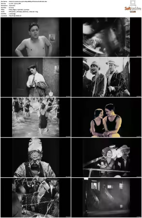 Lonesome 1928 1080p BDRip DTS H264-PoPCoRn