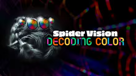 Spider Vision Decoding Color 2024 1080p WEB H264-JAVLAR