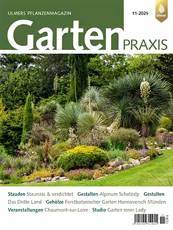 Gartenpraxis - Nr. 11, 2025