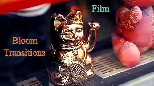 Videohive 60575464 Film Bloom Transitions | Vertical - Apple Motion 5, Final Cut Pro X