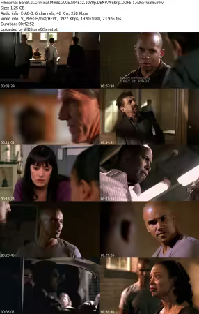 Criminal Minds 2005 S04E12 1080p DSNP Webrip DDP5 1 x265-Vialle
