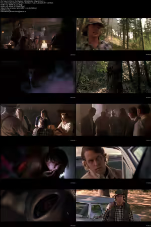 Fire in the Sky 1993 1080p BluRay x264-nikt0