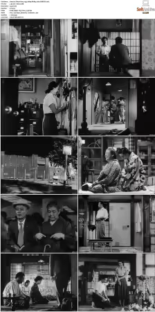 Tokyo Story 1953 1080p BluRay x264-CiNEFiLE