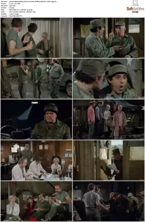 M.A.S.H. S01-S11 1080p WEBRip 10Bit DD2.0 HEVC-d3g