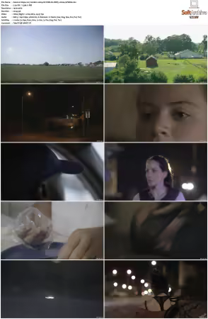 Dope 2017 S02 1080p NF WEB-DL DDP5.1 H264-SPWEB