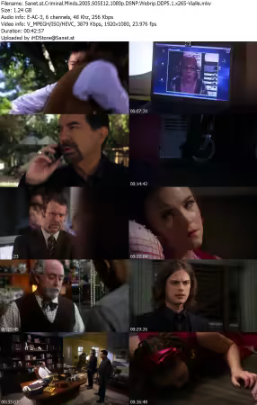 Criminal Minds 2005 S05E12 1080p DSNP Webrip DDP5 1 x265-Vialle