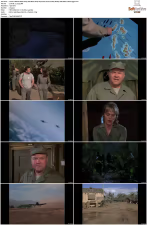 Black Sheep Squadron aka Baa Baa Black Sheep S02 1080p BluRay 10Bit DDP2 0 HEVC-d3g