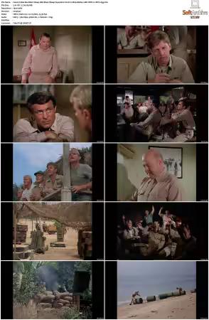 Baa Baa Black Sheep S01 1080p BluRay 10Bit DDP2.0 HEVC-d3g