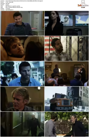 Seal Team S01 S07 1080p WEBRip 10Bit DDP5.1 H265-d3g