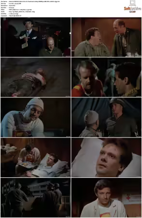 M.A.S.H. S01-S11 1080p WEBRip 10Bit DD2.0 HEVC-d3g
