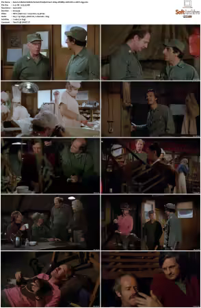M.A.S.H S08 1080p WEBRip 10Bit DD2.0 HEVC-d3g