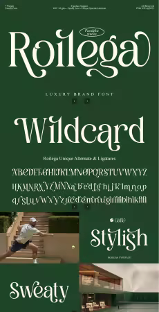 EE - Serif Brand Family Font - Roilega CRSPPD9