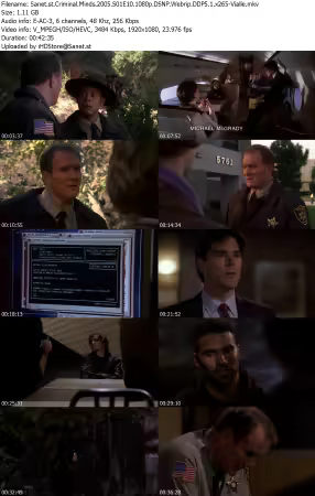 Criminal Minds 2005 S01E10 1080p DSNP Webrip DDP5 1 x265-Vialle