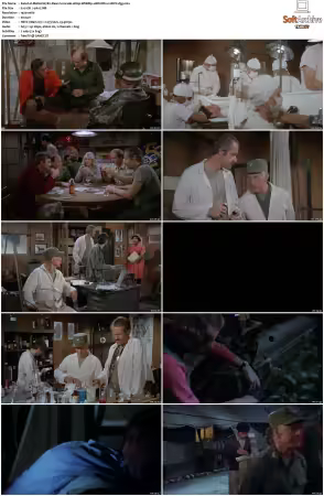 M.A.S.H S07 1080p WEBRip 10Bit DD2.0 HEVC-d3g