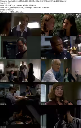 Criminal Minds 2005 S02E05 1080p DSNP Webrip DDP5 1 x265-Vialle