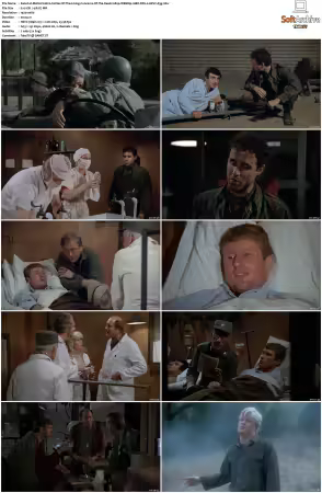 M.A.S.H. S01-S11 1080p WEBRip 10Bit DD2.0 HEVC-d3g