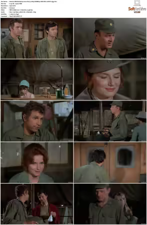MASH S01 S11 1080p WEBRip 10Bit DD2.0 HEVC-d3g