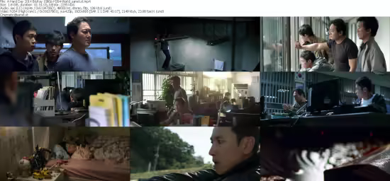 A Hard Day 2014 BluRay 1080p H264-World