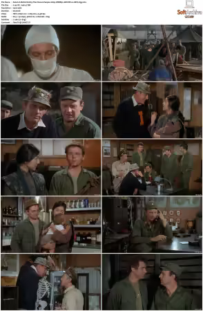 M.A.S.H. S01-S11 1080p WEBRip 10Bit DD2.0 HEVC-d3g