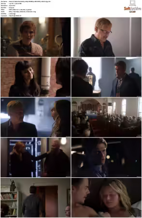 Nashville S04 1080p WEBRip 10Bit DDP5.1 HEVC-d3g