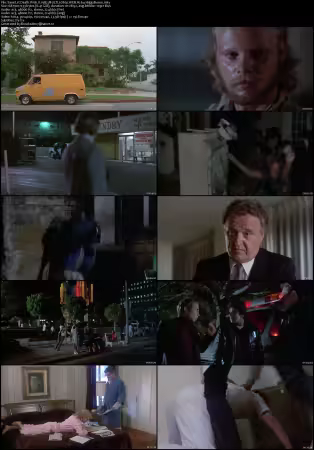 Death Wish II 1982 MULTI 1080p WEB H264-HiggsBoson