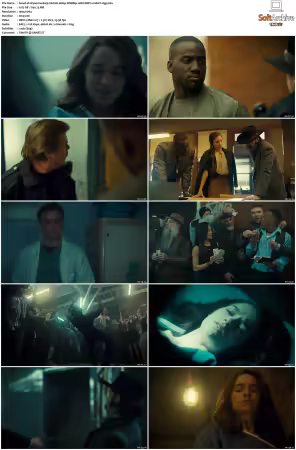 Wynonna Earp S01 1080p WEBRip 10Bit DDP2.0 HEVC-d3g