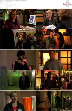Veronica Mars S01 S04 1080p WEBRip 10Bit AAC2.0 HEVC-d3g