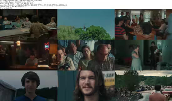 Taking Woodstock 2009 1080p HEVC-MegaPeer