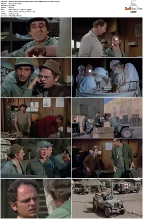 M.A.S.H. S01-S11 1080p WEBRip 10Bit DD2.0 HEVC-d3g