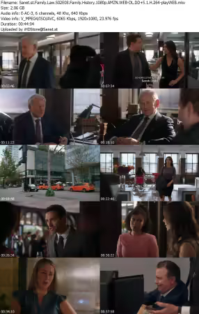 Family Law S02E08 Family History 1080p AMZN WEB-DL DD+5 1 H 264-playWEB