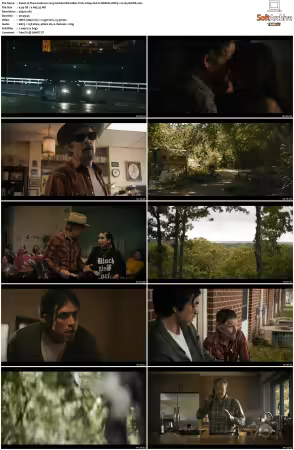 The Lowdown 2025 S01 2160p HULU WEB-DL DDP5.1 H265-RAWR