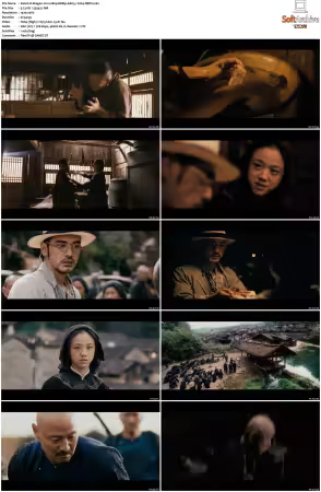 Dragon 2011 1080p BRRip AAC5.1 h264-XBiTs