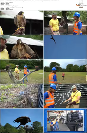 Handyman Hal 2023 S01 S03 720p TUBI WEB-DL AAC2 0 H264-NOGROUP