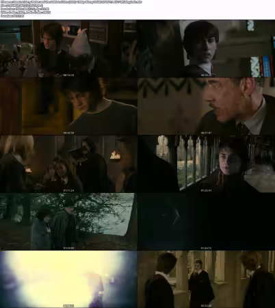 Harry Potter and the Goblet of Fire 2005 1080p Bluray DS4K OPUS 7.1 AV1-WhiskeyJack