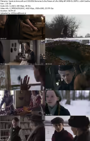Anne with an E S01E06 1080p NF WEB-DL DDP5 1 x264-CasStudio