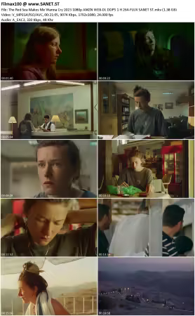 The Red Sea Makes Me Wanna Cry 2023 1080p AMZN WEB-DL DDP5.1 H264-FLUX