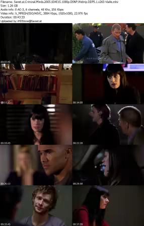 Criminal Minds 2005 S04E15 1080p DSNP Webrip DDP5 1 x265-Vialle