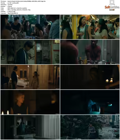 Expats S01 1080p WEBRip 10Bit DDP5.1 HEVC-d3g
