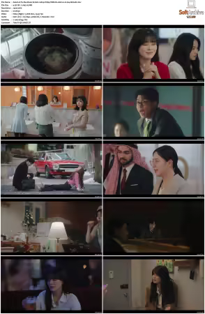 To the Moon S01 1080p friDay WEB-DL AAC2.0 H264-MrHulk