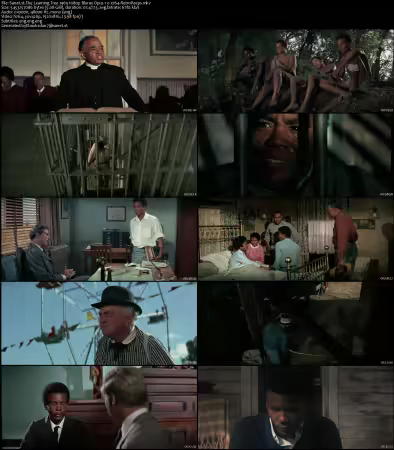 The Learning Tree 1969 1080p Bluray Opus 1.0 x264-RetroPeeps