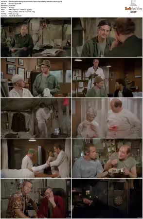 M.A.S.H. S01-S11 1080p WEBRip 10Bit DD2.0 HEVC-d3g