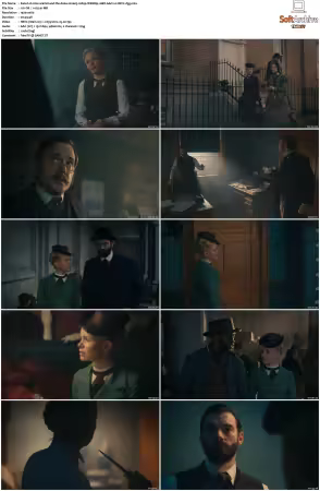 Miss Scarlet and the Duke S02 1080p WEBRip 10Bit AAC2 0 HEVC-d3g