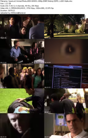 Criminal Minds 2005 S05E01 1080p DSNP Webrip DDP5 1 x265-Vialle