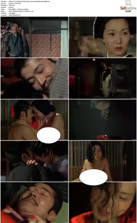 In The Realm Of The Senses 1976 1080p BluRay x264-aBD