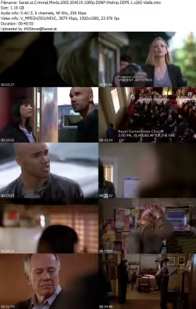 Criminal Minds 2005 S04E19 1080p DSNP Webrip DDP5 1 x265-Vialle