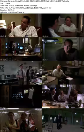 Criminal Minds 2005 S01E02 1080p DSNP Webrip DDP5 1 x265-Vialle